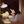 Avatar for Fayeretellstales